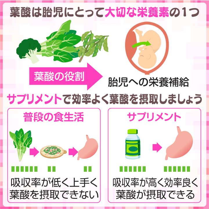 葉酸は胎児にとって大切な栄養素のひとつ