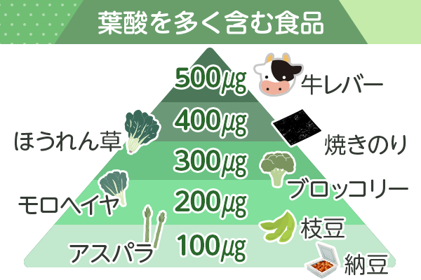 葉酸を多く含む食品のピラミッド図