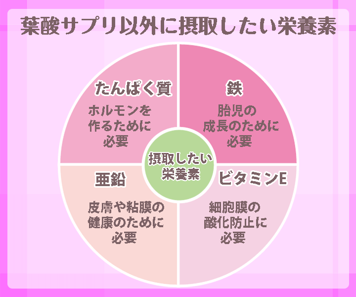 葉酸サプリ以外に摂取したい栄養素の円グラフ
